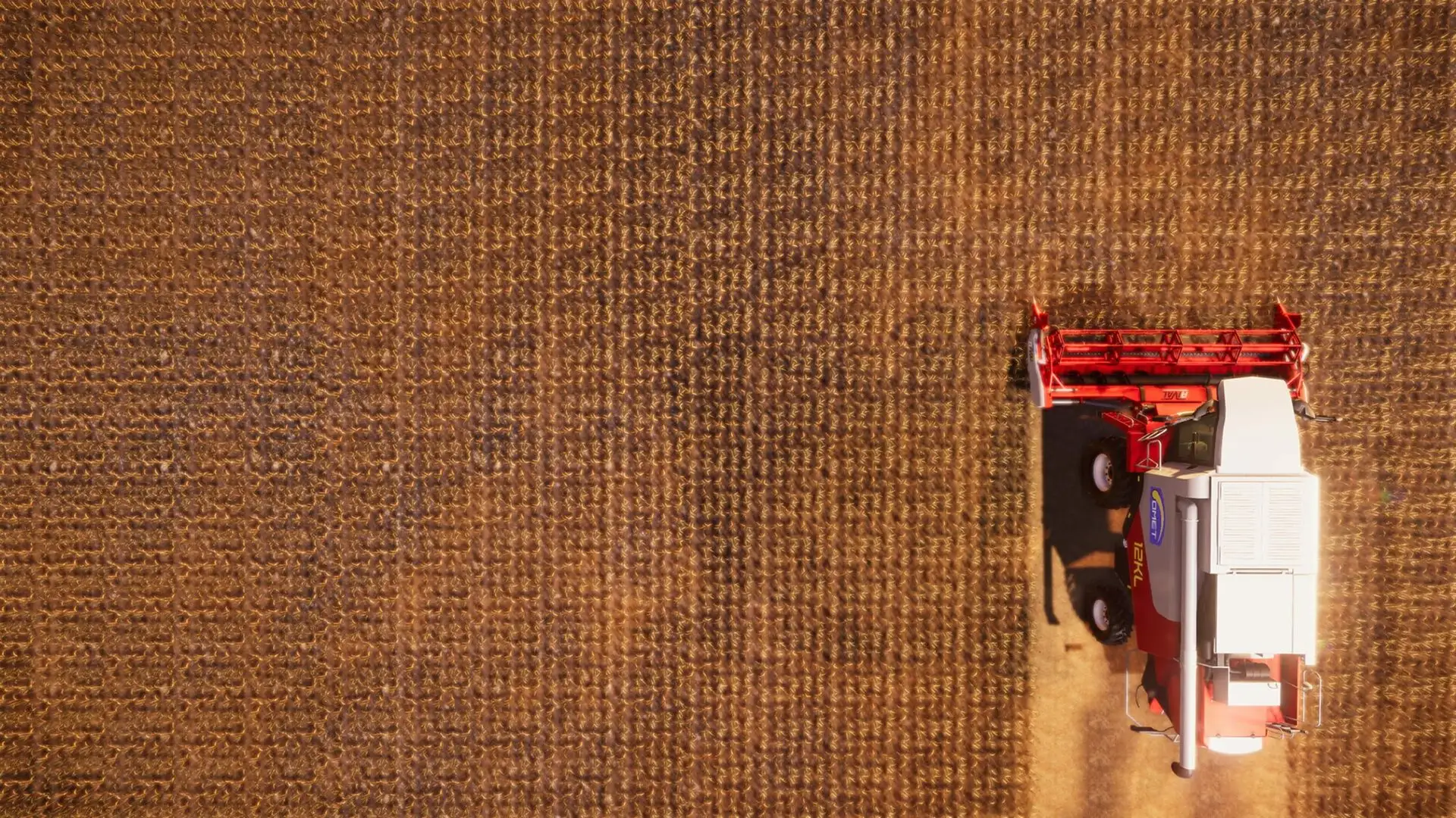 Real Farm - Premium Edition games digitais xbox one series x|s