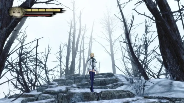 Anima: Gate of Memories games digitais xbox one series x|s